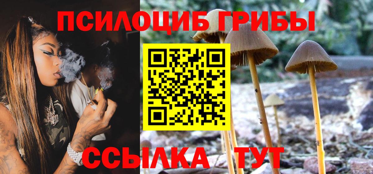 Псилоцибиновые грибы Magic Shrooms  Вход с VPN  Ижевск 